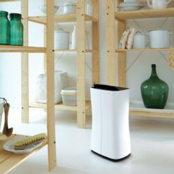 Theo kosteudenpoistaja